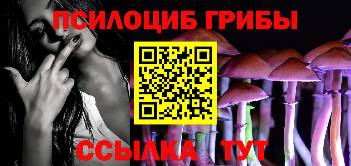 Кузнецк  Псилоцибиновые грибы Cubensis  как найти наркотики  Вход с VPN  Галлюциногенные грибы мицелий 